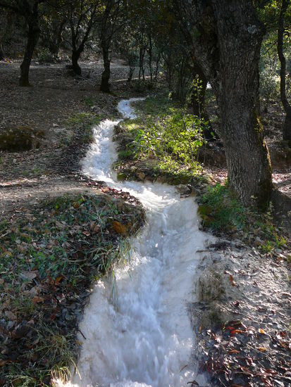 Auch der dort sehr lebendige glasklare Fluss war so kalkhaltig, dass er ein weisses Bett hatte und einfach ueberirdisch schoen und weiss sich durch die Gegend schlaengelte.