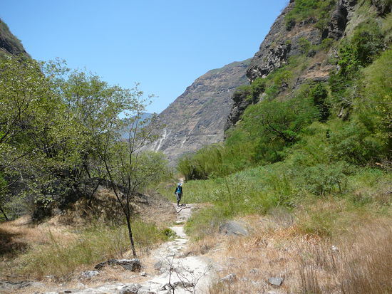 ...auf breiteren Wegen...