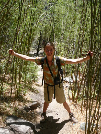 Und durch schmalere im Bambuswald...