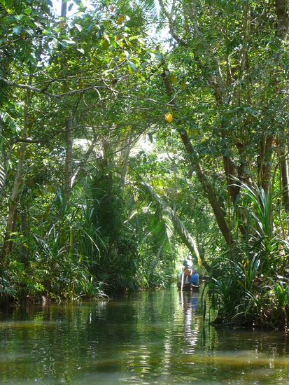 Es ist alles sooo gruen 