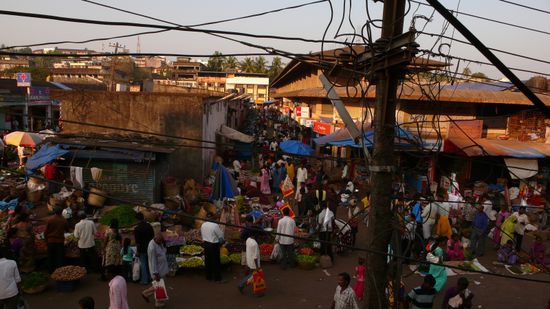 so. immerhin geschafft, mal ein foto reinzuschaufeln. im originalfoddo sind viiiiel mehr details sichtbar...