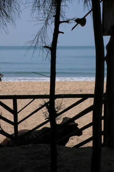 ich darf leider nicht in die strandkneipe