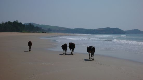 fuer die weniger frequentierten bereiche muss man ein wenig gehen...