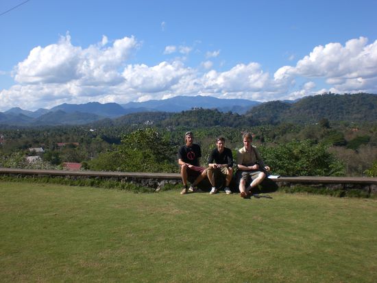 Auf dem Gipfel des Waldtempels