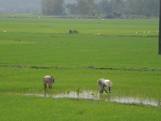 hier wird noch hart fuers Geld gearbeitet