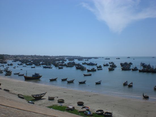 Fisch, Tintenfisch und Shrimps in allen Variationen sind phaenomenal gut in nahezu allen Restaurants...jammi jammi!