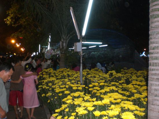 Menschen und Blumen, die fahren vor dem Neujahrsfest total auf sowas ab...Massen