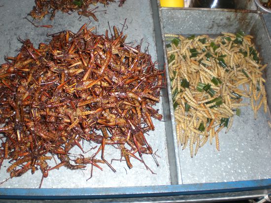 mhhhhhh Grashoppers Zuerich gegen Madia Prag!