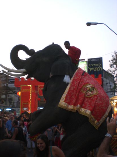 mitten zwischen Touristenschwaermen...eine Elefantenshow, ohne Witz, der iss echt!!!