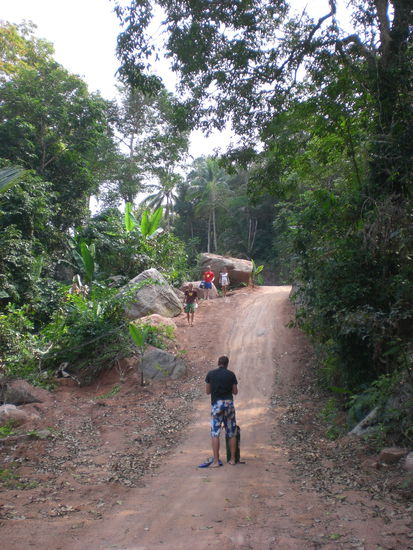 Wir mussten leider feststellen, dass die meisten Strassen semi gut bzw. gar nicht ausgebaut sind und nur aus Sand, Schotter, Schlagloechern und Matsch bestehen, dabei aber Steigungen von 15% aufweisen. Schnell wurde uns bewusst, sollten wir tatsaechlich die Nordspitze Mango Bay erreichen, dass wir zu Fuss durch die Vegetation eilen muessen, hehe!!!