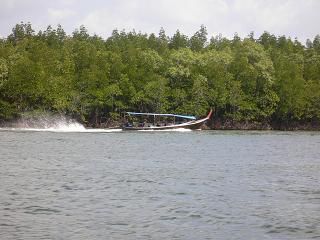 Longtailboat