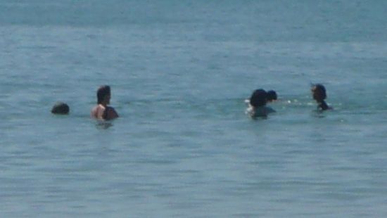 Schon sind alle im Wasser