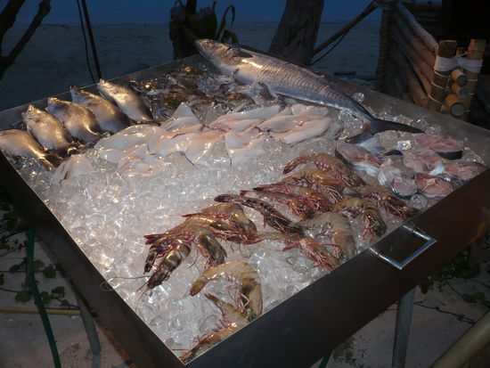 Das heutige Fisch-Angebot