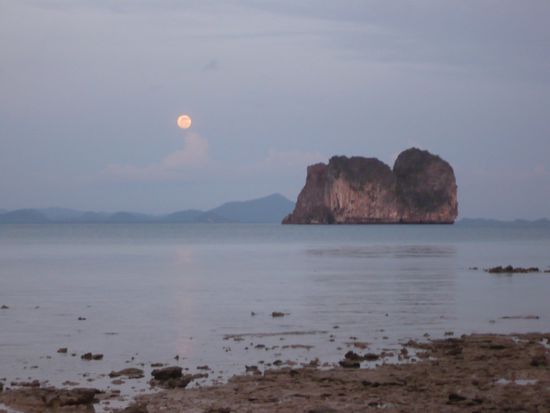 Fully Moon