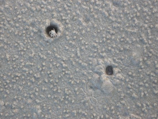 Hallo - guten Morgen! 