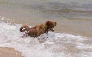das Meer, Jimmy's 2. Element