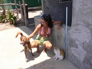 bei Junie leben Hunde und Katzen nebeneinander in Frieden