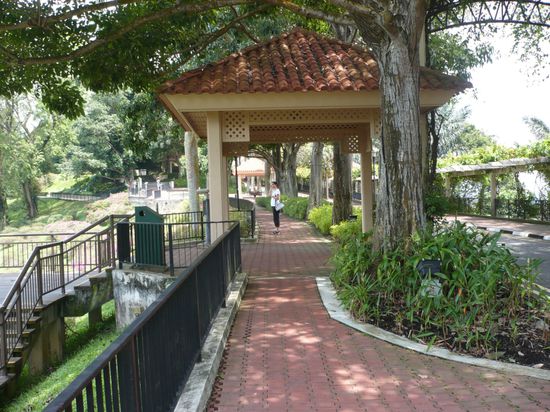 schon fast ganz oben - hier wird der Weg zum Park