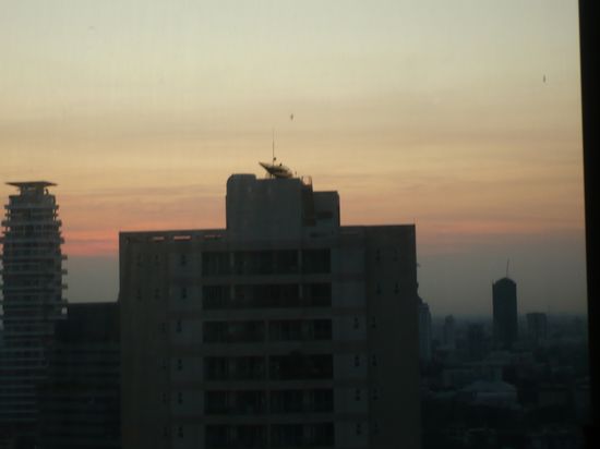 etwas schwierig zu fotografieren - aber zwei hab ich doch erwischt 