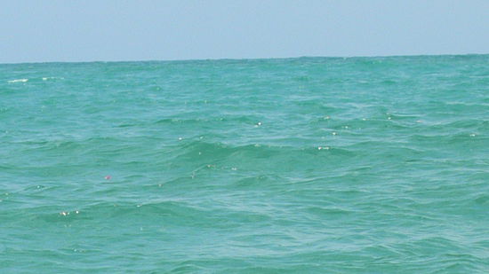 Die Asche ist hier gesunken,
nur die Blütenblätter schwimmen noch oben auf