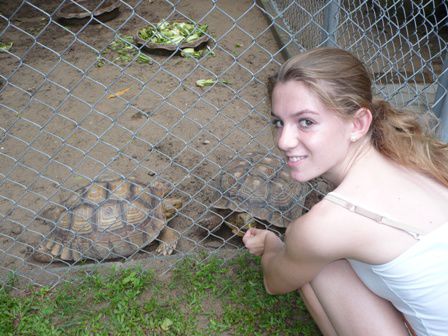Morgengruss bei den Schildkröten