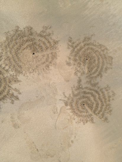 aber die nächste Flut wird die ganze Pracht
wieder verschwinden lassen