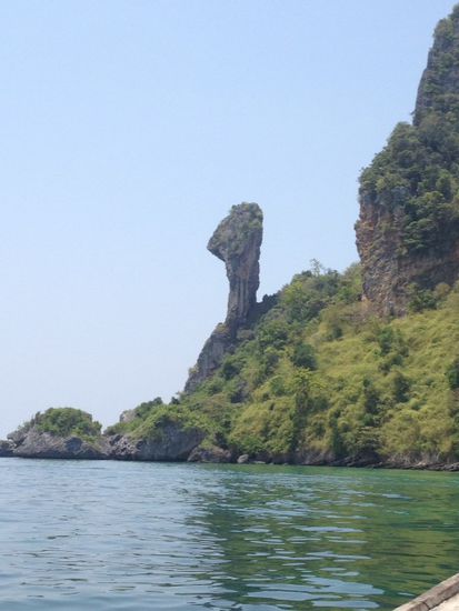 Chicken-island