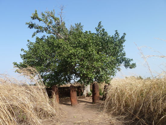 Dieser Steinkreis nennen die Gambianer den heiligen Steinkreis