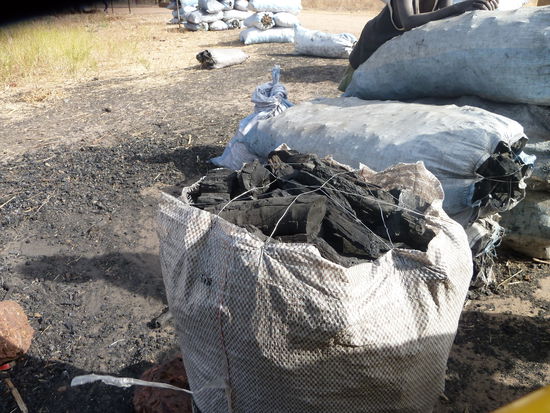 Dieser Sack kommt gleich in den Kofferraum