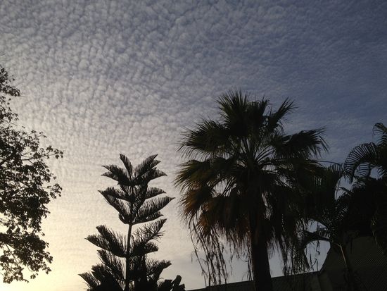 Wunderschöne Abendstimmung