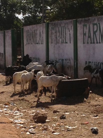 Ich dachte - das wärs jetzt ......