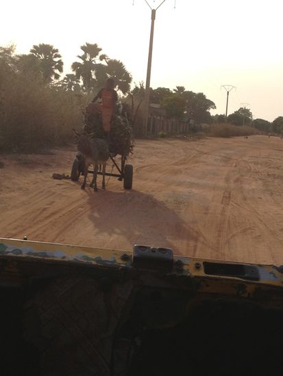 Von diesem Jungen kauft Seedy ein Pack Holz 
damit wird bei ihm zu Hause gekocht