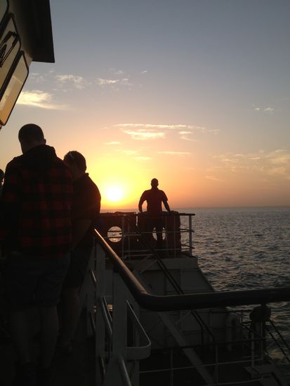 Die Sonne erscheint am Horizont
leider wärmen ihre Strahlen noch gar nicht