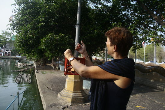 ..... und ab in die Freiheit!