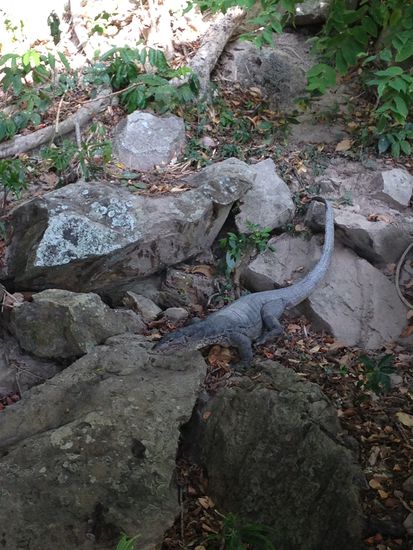 Besuch beim Frühstück