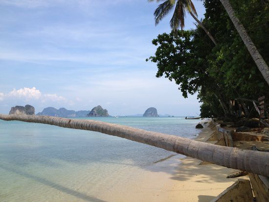 Auch unten ist die Aussicht toll!