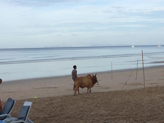 Schon fast zurück entdecke ich erneut etwas ganz Neues! 