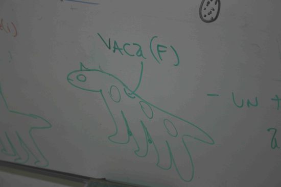 La Vaca- die Kuh???????