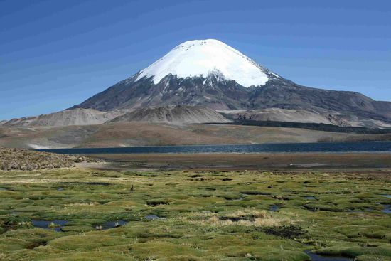 Panorama Lago Chungara (laut unserem Guide hoechster See der Erde; Titicacasee hat er nicht gelten lassen)