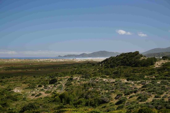 Nationalpark Chiloe.