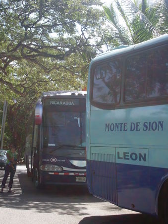 Der Transnica VIP Bus