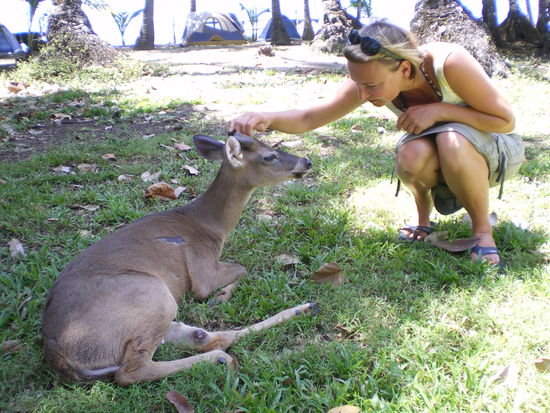 Sandra meets Bambi an der Strandbierbude