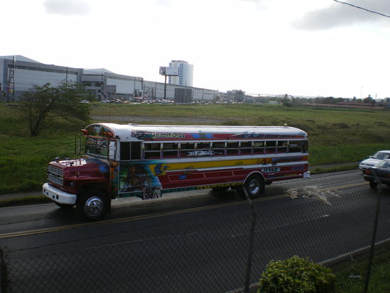 Die Busse in Colón sind allerdings schöner bemahlt als anderswo...