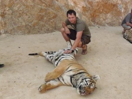 Tiger schlafen bis zu 16 Stunden am Tag und da sie immer so gut gefuettert werden kann man sich auch getrost darauf verlassen.