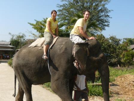 geschafft! First time on OT, our Elephant