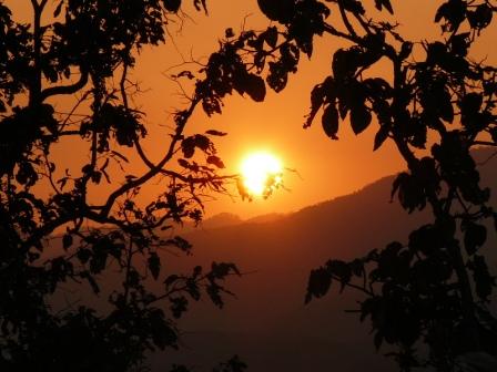 Sonnenuntergang aus Elefantensicht