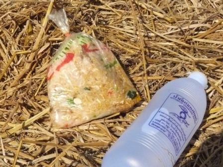 Unser Lunch. Kalter Reis aus der Tuete und eine Flasche Wasser...(Das ist uebrigens das billgste Wasser hier ohne jegliche Mineralien, einfach Wasser)