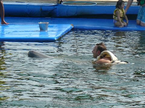 eine Runde schwimmen