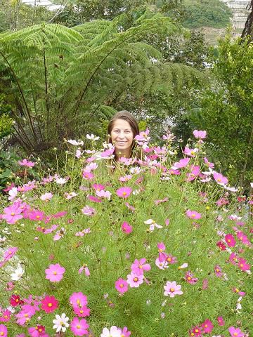 Suchbild