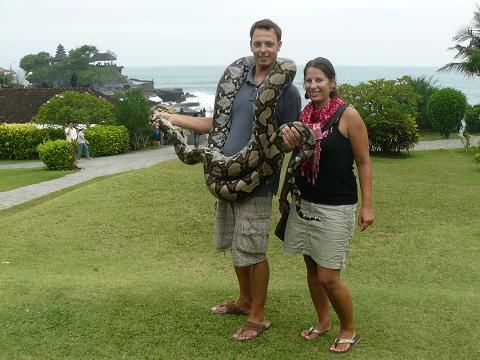 Eine in Indonesien heimische Python...nett, oder?